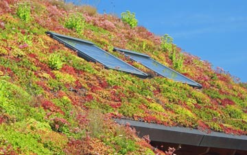 Llanbedr Dyffryn Clwyd living roof systems